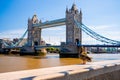 Bird on a wall with the Tower Bridge over the River Thames in London on the background Royalty Free Stock Photo