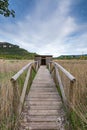 Bird watchers hide near lake Royalty Free Stock Photo