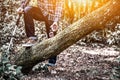 Bird watching in the forest with natural background. Tourist holding binoculars. Royalty Free Stock Photo