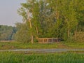 Bird watching hut hidden between trees next to a marsh Royalty Free Stock Photo