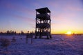 Bird-Watching Tower Royalty Free Stock Photo