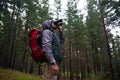 Bird watching, woods and man with binocular, travel and hiking with trees and adventure with hobby. Person, forest and Royalty Free Stock Photo