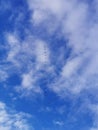 A bird wedge with duck birds flies in the blue evening sky Royalty Free Stock Photo