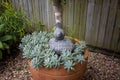 Bird On A Welcome Rock Ornament