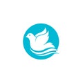 Bird wing Dove icon Template