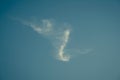 Bird wing shape cloud. Royalty Free Stock Photo
