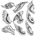 Bird Wings Black White Set Royalty Free Stock Photo