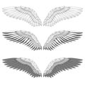 Bird wings set isolated on a white background. Vector illustration. Monochrome Royalty Free Stock Photo