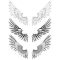 Bird wings set isolated on a white background. Vector illustration. Monochrome Royalty Free Stock Photo