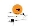 Birds silhouettes on wire and flying bird silhouette on sunset, vector Royalty Free Stock Photo