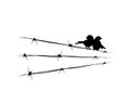Flying dove bird silhouete and bird on barbed wire illustration isolated on white background Royalty Free Stock Photo
