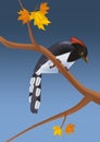 Bird woodpecker