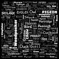 bird word cloud. word cloud use for banner, painting, motivation, web-page, website background, t-shirt & shirt printing, poster,