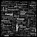 bird word cloud. word cloud use for banner, painting, motivation, web-page, website background, t-shirt & shirt printing, poster,