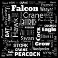 bird word cloud. word cloud use for banner, painting, motivation, web-page, website background, t-shirt & shirt printing, poster, Royalty Free Stock Photo