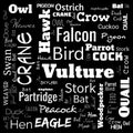 bird word cloud. word cloud use for banner, painting, motivation, web-page, website background, t-shirt & shirt printing, poster, Royalty Free Stock Photo