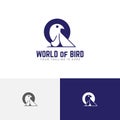 Bird World Nature Hawk Eagle Falcon Predator Logo Template