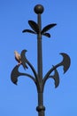 Bird on wrought iron ornament Royalty Free Stock Photo