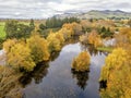 The bird& x27;s eye view of the colourful tree