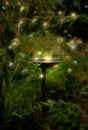 Birdbath depiction Royalty Free Stock Photo