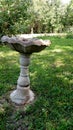 Birdbath in garden