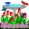 Birdbath and tulips