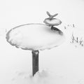 Birdbath in Winter Royalty Free Stock Photo