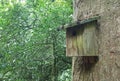 Birdbox on tree trunk Royalty Free Stock Photo