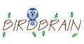Birdbrain Royalty Free Stock Photo