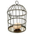 Birdcage and egg