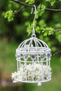 Birdcage with flowers inside