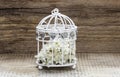 Birdcage with flowers inside on rustic wood