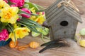 Birdcage with spring flowers Royalty Free Stock Photo
