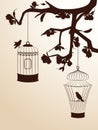 Birdcages and birds Royalty Free Stock Photo