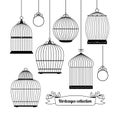 Birdcages silhouettes design vector illustration Royalty Free Stock Photo