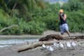 Birder and Sanderlings Royalty Free Stock Photo