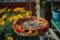 birdfeeder filled with colorful sunflower seeds Royalty Free Stock Photo