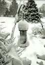 Birdfeeder with mounted snow after snowstorm