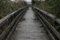 Birdge on a lake with reeds Royalty Free Stock Photo