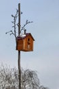 The birdhouse is attached to a stick in the garden