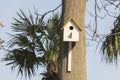 Birdhouse attached to a tree in the park