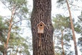 Birdhouse attached to a tree trunk