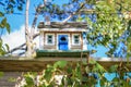 Birdhouse in the backyard home