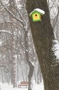 Birdhouse and bench in winter