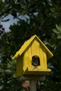 Birdhouse with bird