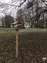 Birdhouse, bird feeder in the autumn forest