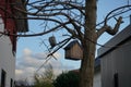 Birdhouse and bird feeder in the recreation area in winter. Berlin, Germany