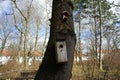 Birdhouse and bird feeders in the garden in February. Berlin, Germany