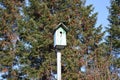 birdhouse bird house old wooden spring starling Royalty Free Stock Photo