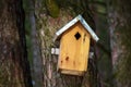 Birdhouse, bird house on a tree Royalty Free Stock Photo